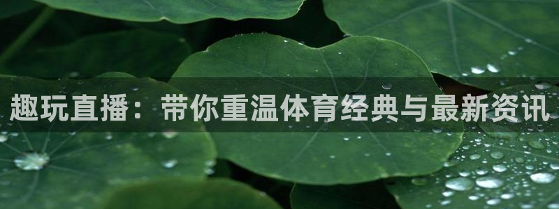 nba飞速直播无插件：趣玩直播：带你重温体育经典与最新资讯