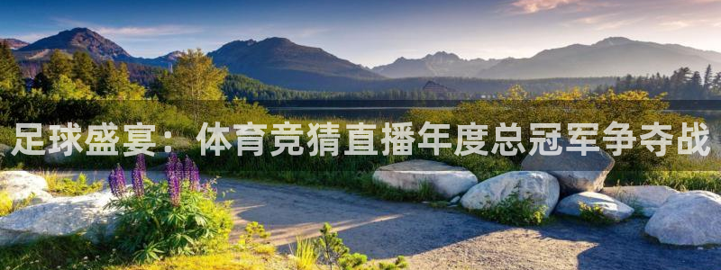 飞速体育直播nba：足球盛宴：体育竞猜直播年度总冠军争夺战