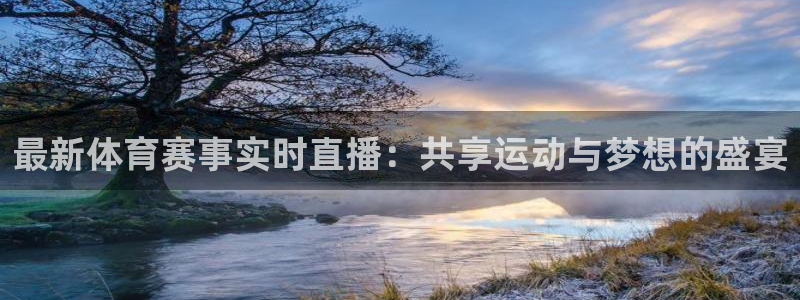 飞速直播体育：最新体育赛事实时直播：共享运动与梦想的盛宴