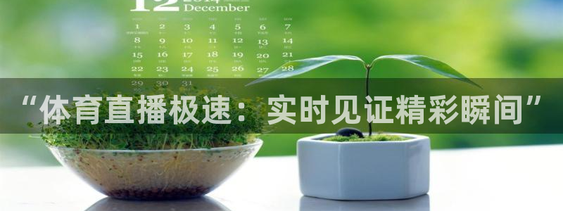 飞速直播足球